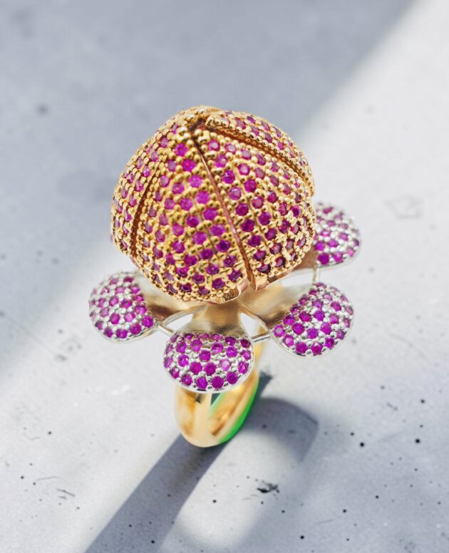Ring RG-078