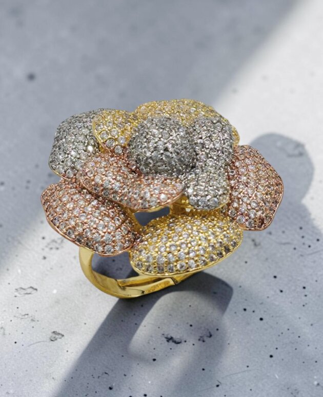 Ring RG-097